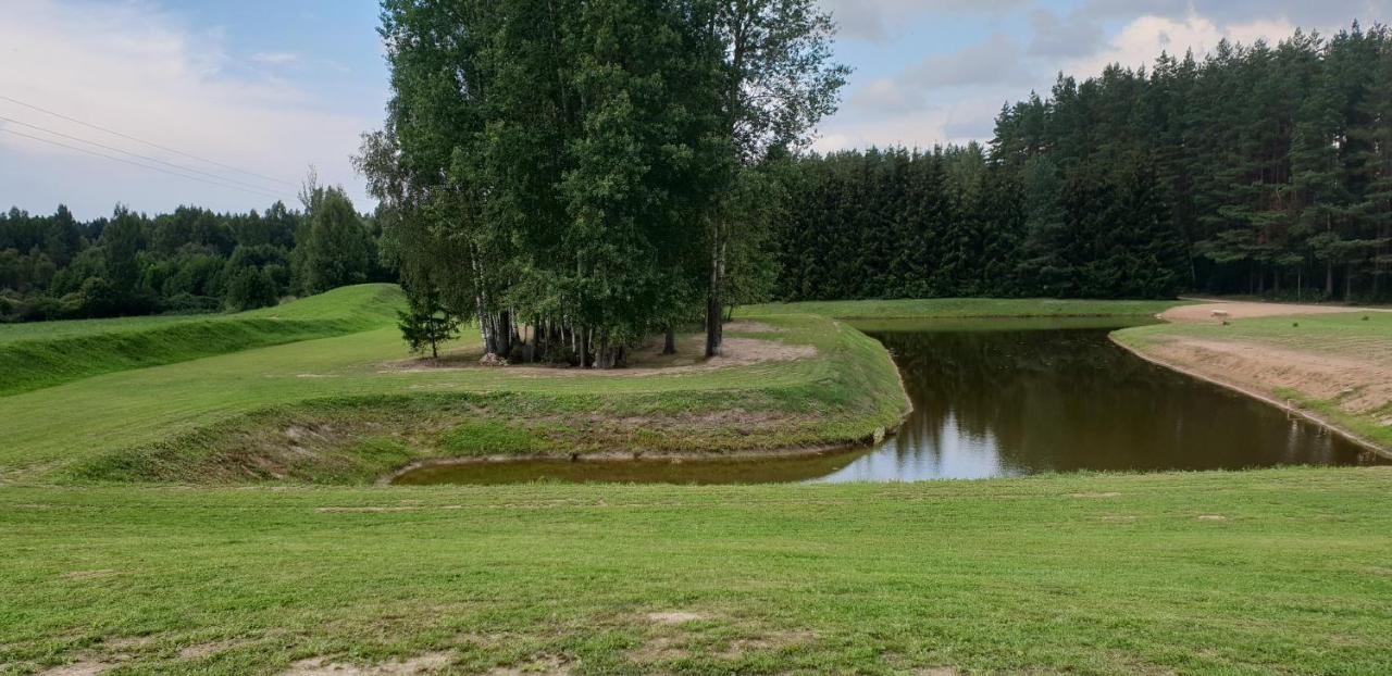 Lazariskio Apartamentai Martiniskenai Kültér fotó